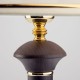 Настольная лампа декоративная Eurosvet Lorenzo 60019/1 венге