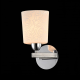 Настенный светильник (бра) Maytoni TOC005-01-N