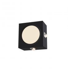 Настенный светильник (бра) Outdoor O012WL-L10B