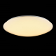Потолочный светильник Maytoni C6999-CL-45-W