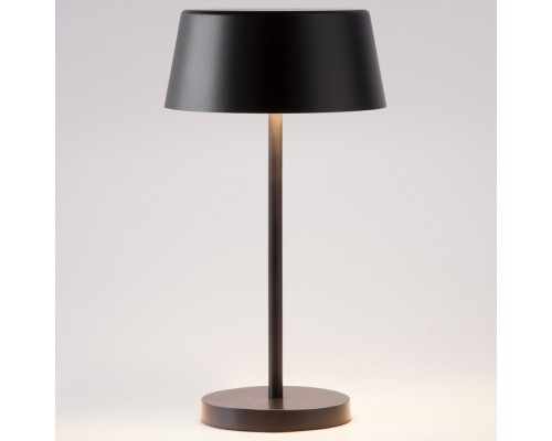 Настольная лампа декоративная Eurosvet Apollo 80424/1 черный